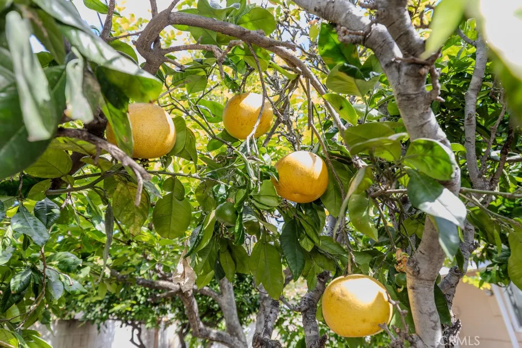 Additional image 38 of 507 S Shields Drive, Anaheim, CA 92804