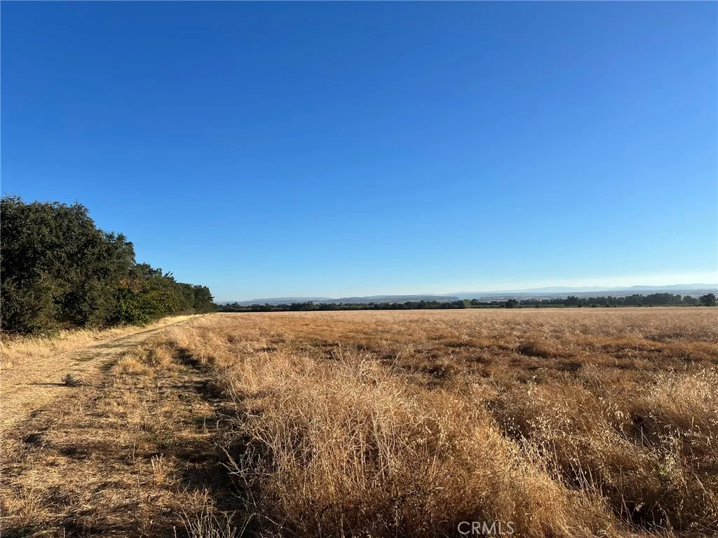 Esquon Road, Durham, CA 95938 photo 5