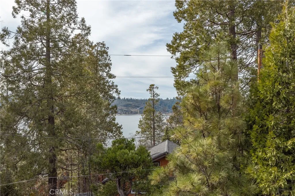 Additional image 116 of 39173 Ski Slope Dr, Bass Lake, CA 93604