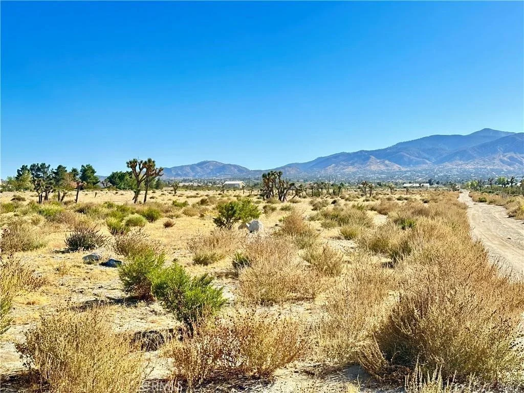 12025 Primavera Road, Pinon Hills, CA 92372