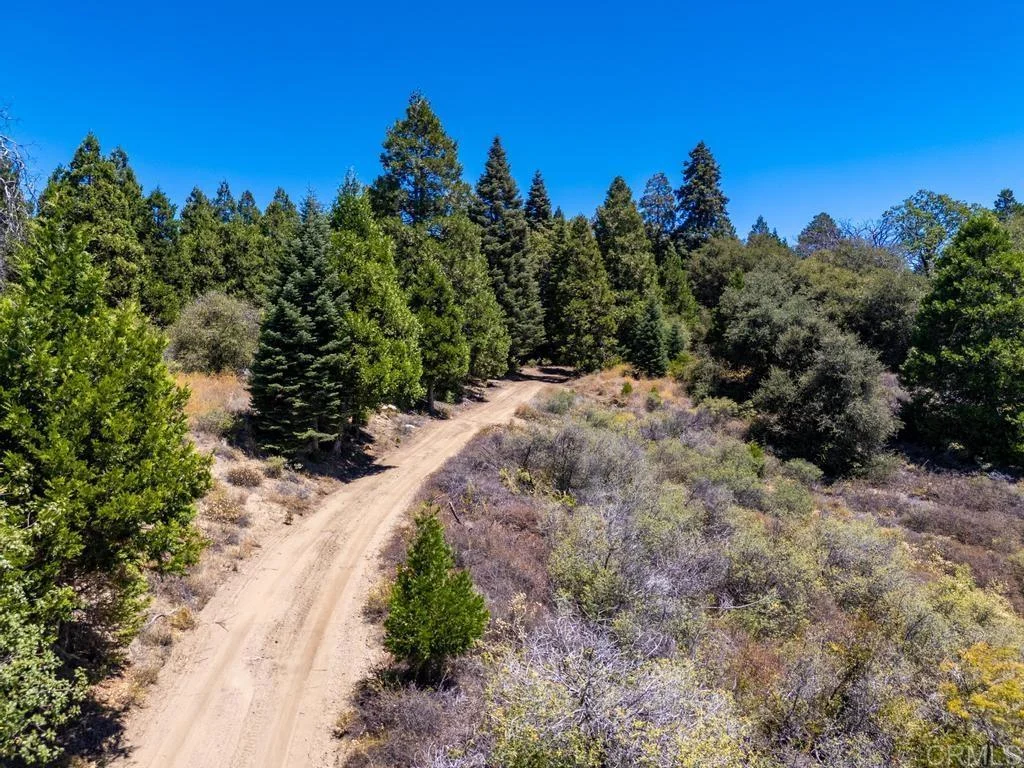 22940 E Grade Road, Palomar Mountain, CA 92060