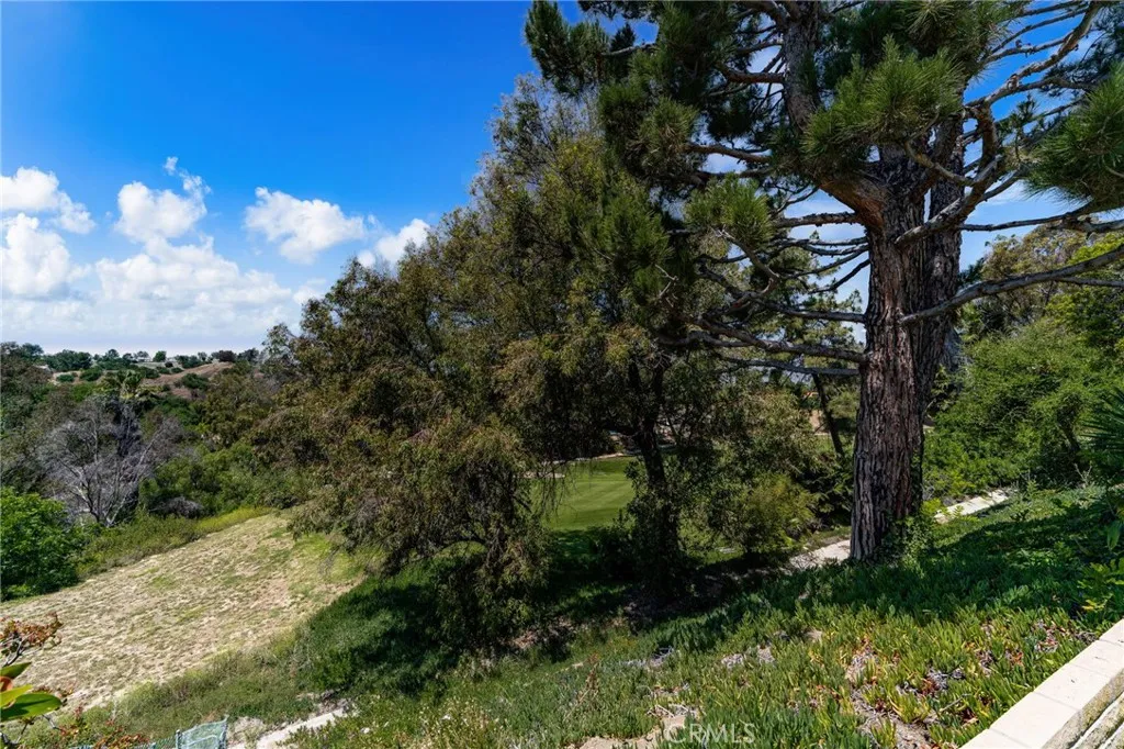 Additional image 60 of 1807 Via Palomares, San Dimas, CA 91773