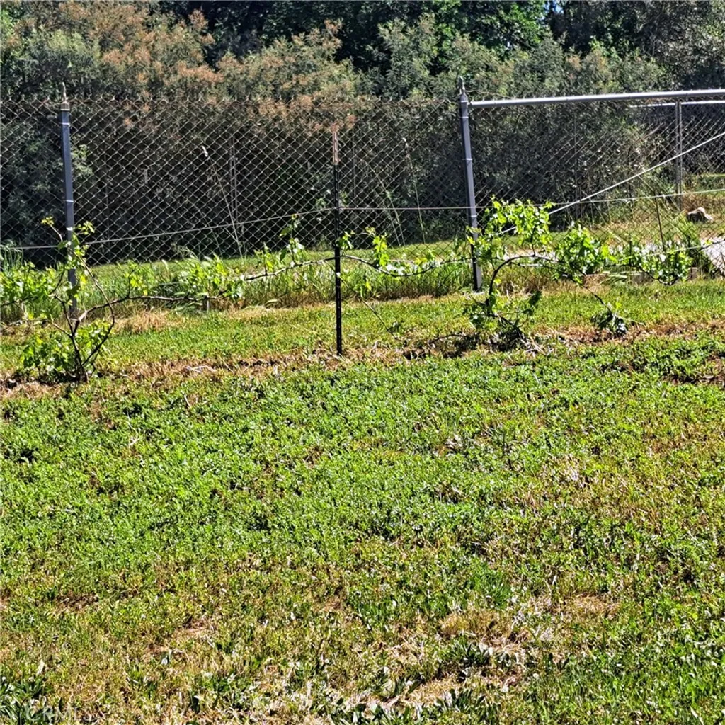 Additional image 23 of 6250 Custer Lane, Oroville, CA 95966