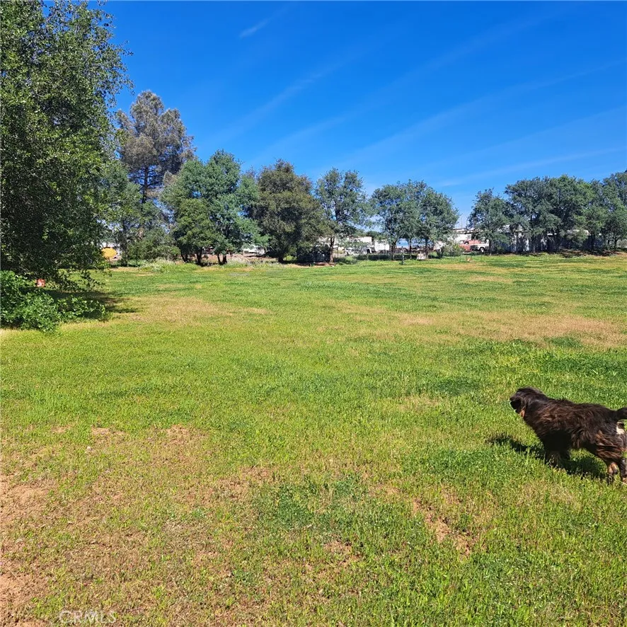 Additional image 80 of 6250 Custer Lane, Oroville, CA 95966