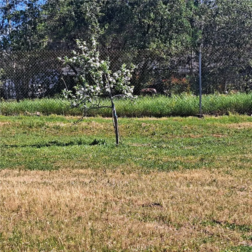 Additional image 73 of 6250 Custer Lane, Oroville, CA 95966