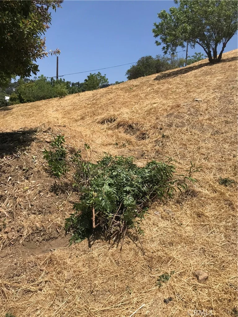thorpe, Los Angeles, CA 90065