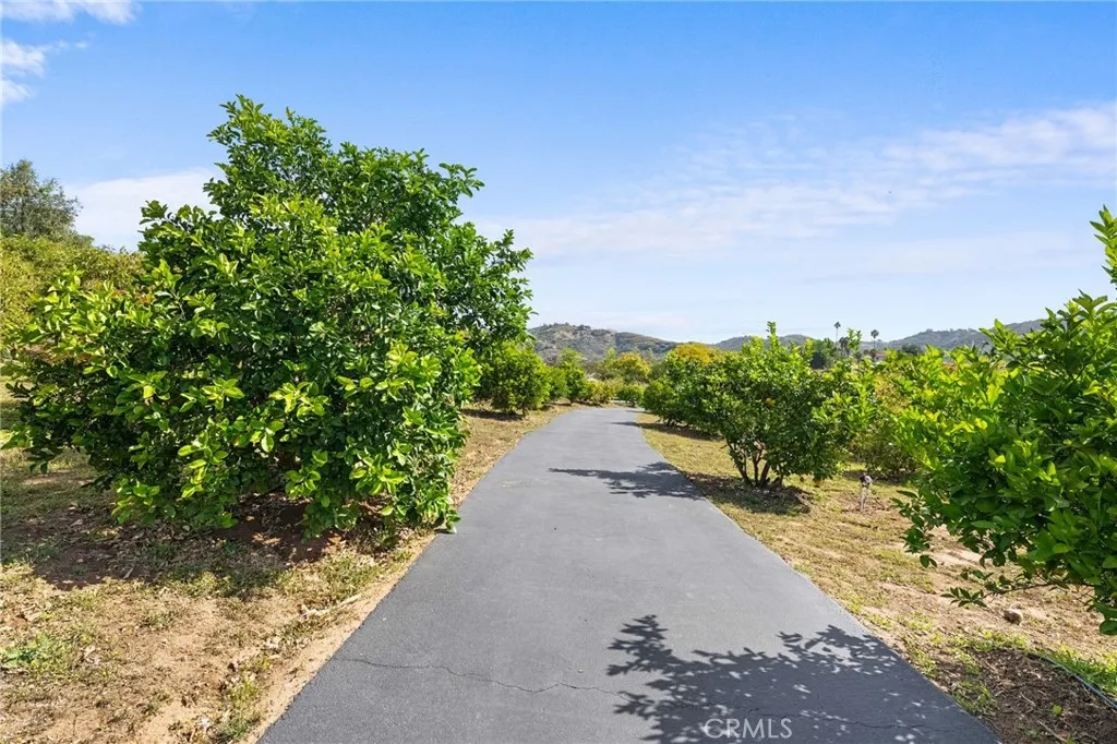Additional image 138 of 42371 Via De Los Fideos, Temecula, CA 92590