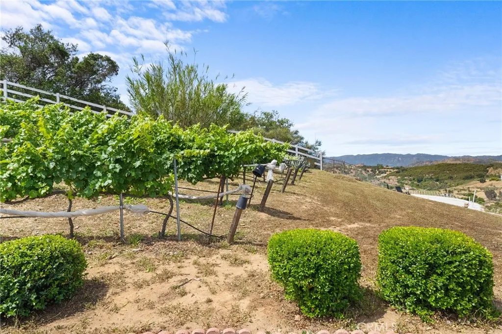 Additional image 62 of 42371 Via De Los Fideos, Temecula, CA 92590