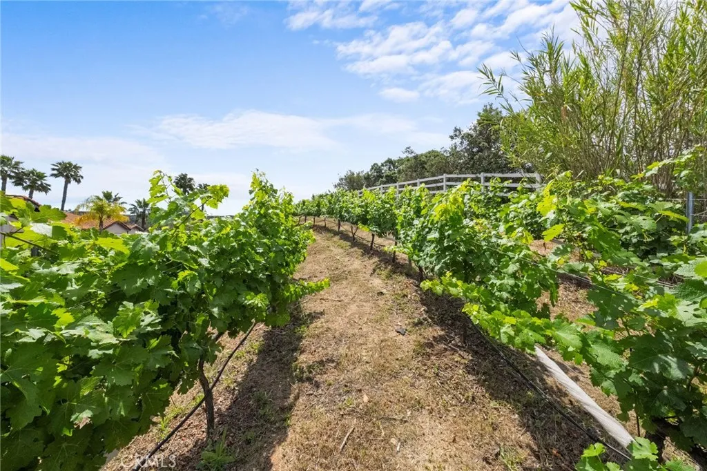 Additional image 86 of 42371 Via De Los Fideos, Temecula, CA 92590