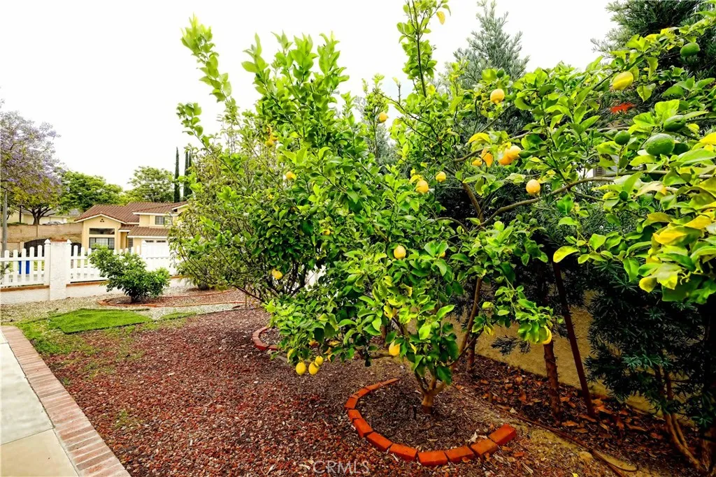 Additional image 102 of 24229 Barker Drive, Diamond Bar, CA 91765