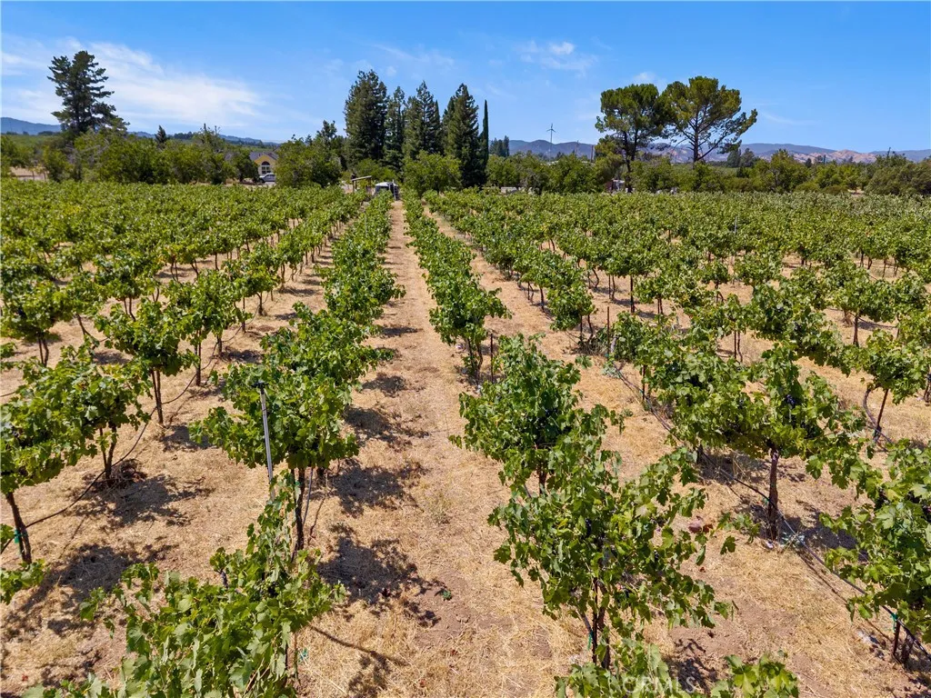 Additional image 134 of 6675 Kelsey Creek Drive, Kelseyville, CA 95451