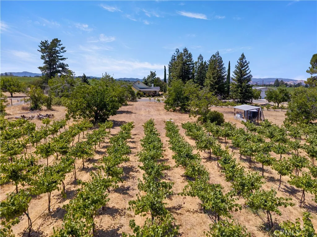 Additional image 135 of 6675 Kelsey Creek Drive, Kelseyville, CA 95451