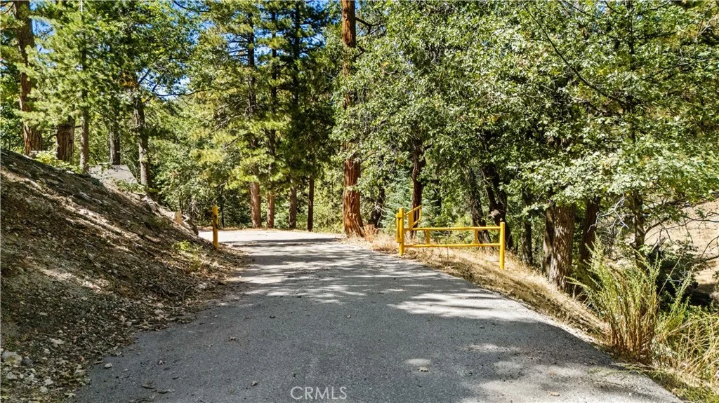 31795 Hwy 330, Running Springs, CA 92382