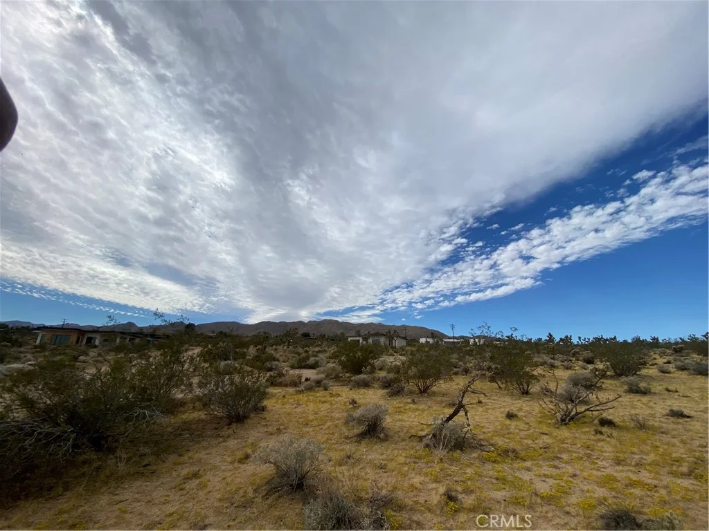 Saddleback Road, Joshua Tree, CA 92252 photo 3