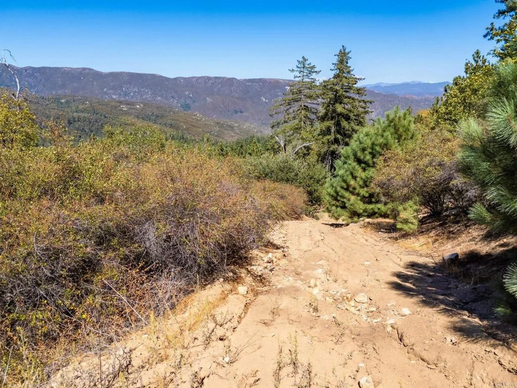 61 East Grade Road, Palomar Mountain, CA 92060