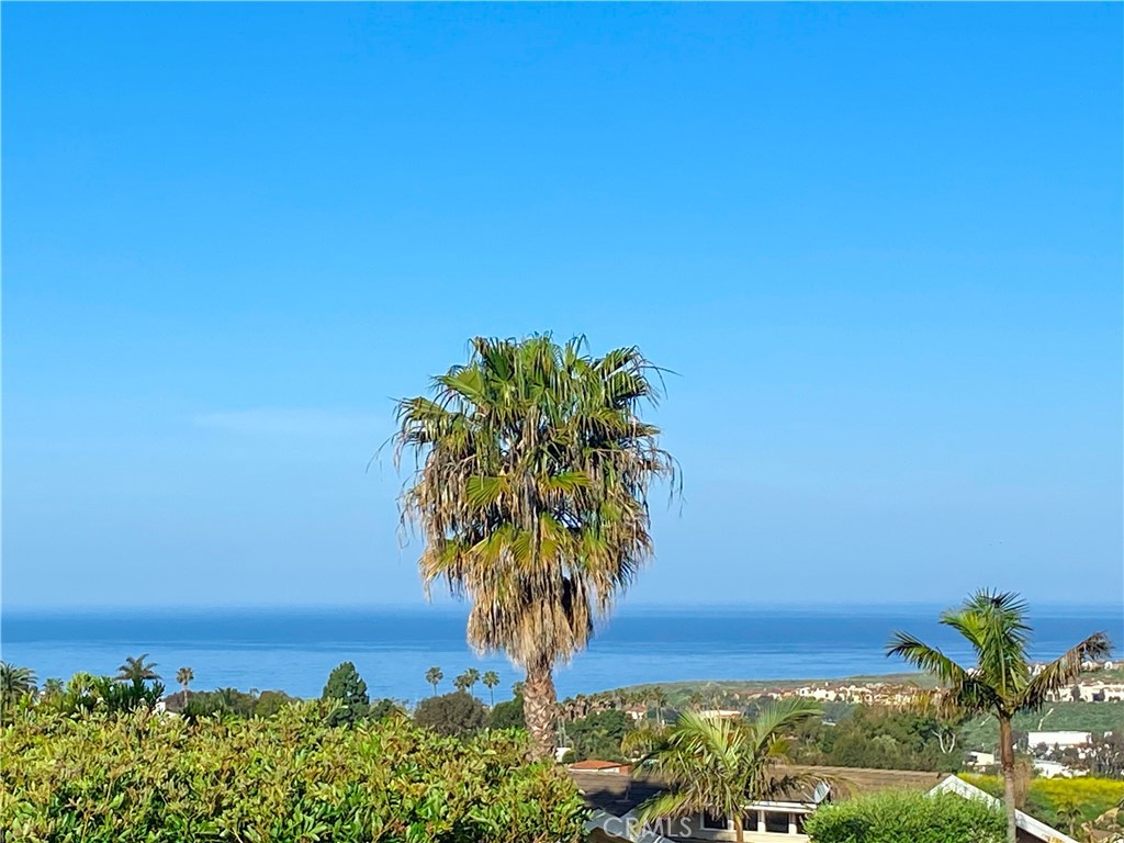 307 Calle Felicidad, San Clemente, CA 92672 - MLS#: OC23066550