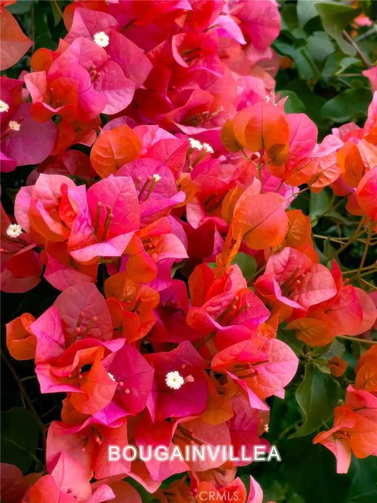 Additional image 95 of 15347 Lotus Cir, Chino Hills, CA 91709