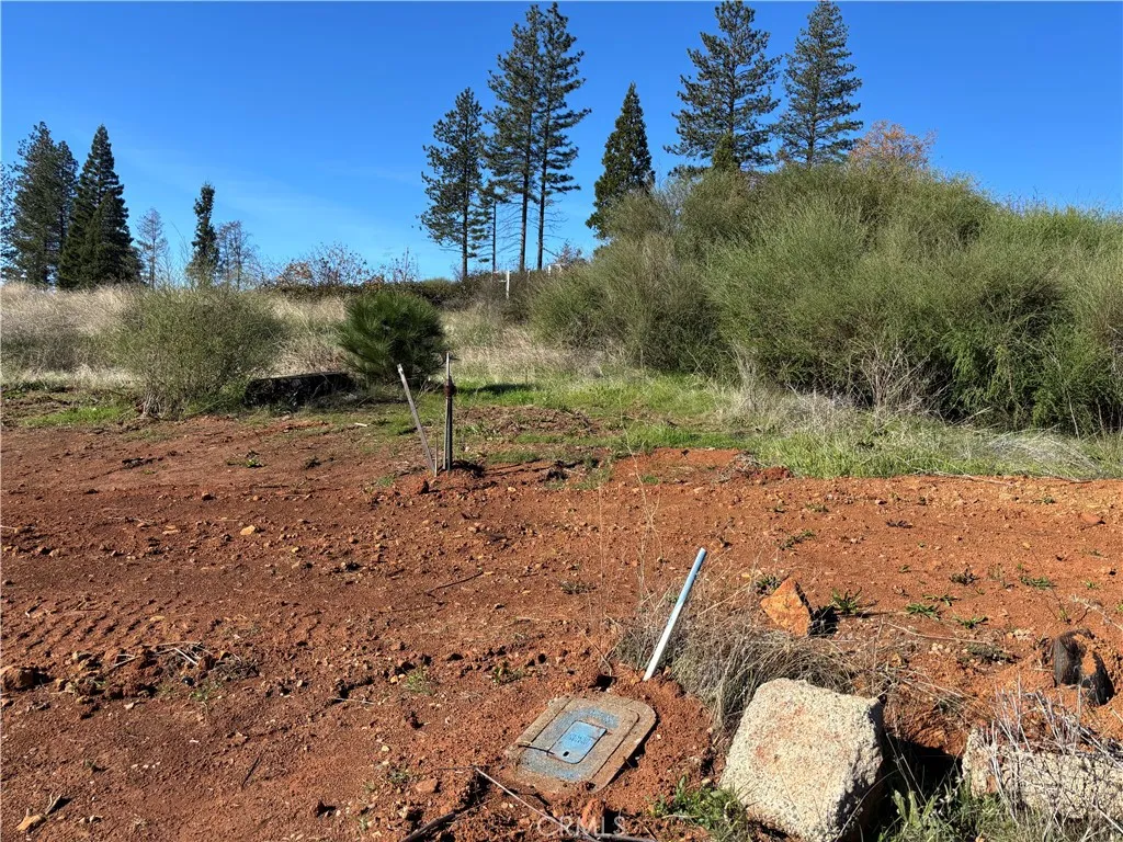 Additional image 3 of 9325 Skyway, Paradise, CA 95969