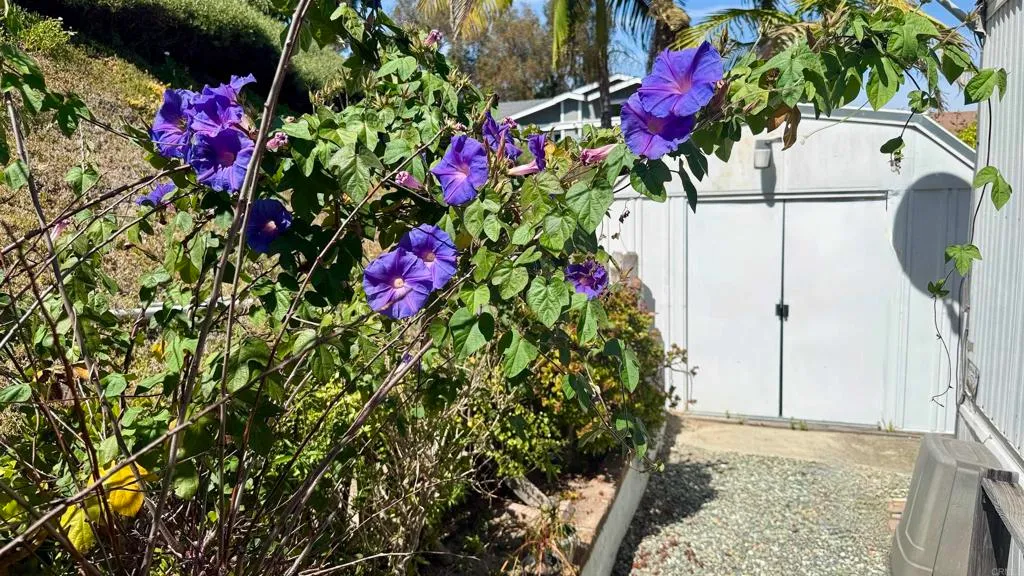 Additional image 11 of 444 N El Camino Real Street Unit 129, Encinitas, CA 92024