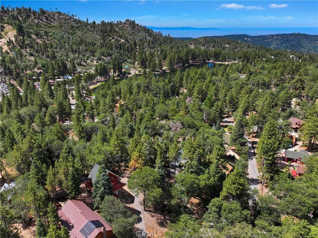 Wild Rose, Green Valley Lake, CA 92341