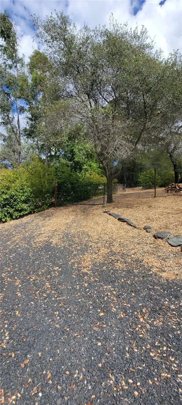 289 Skyline Boulevard, Oroville, CA 95966