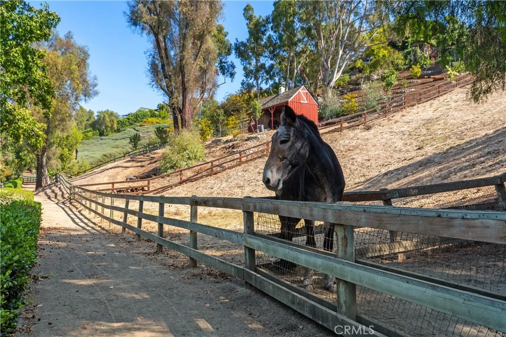 25901 Nellie Gail Rd, Laguna Hills, CA 92653