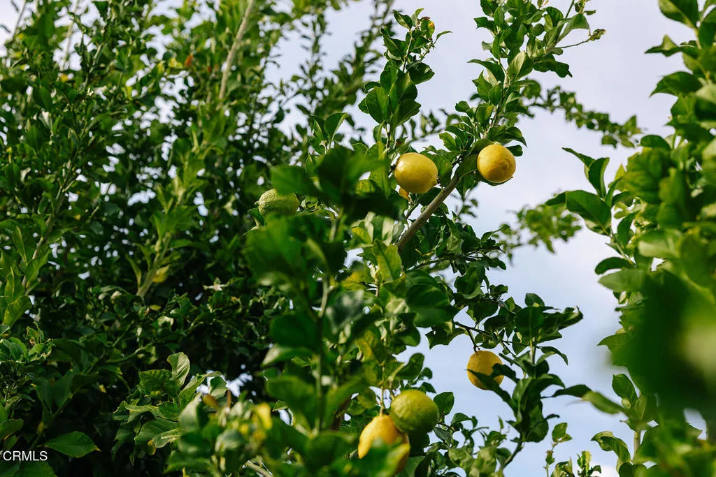 Additional image 128 of 2506 Weston Place, Glendale, CA 91208