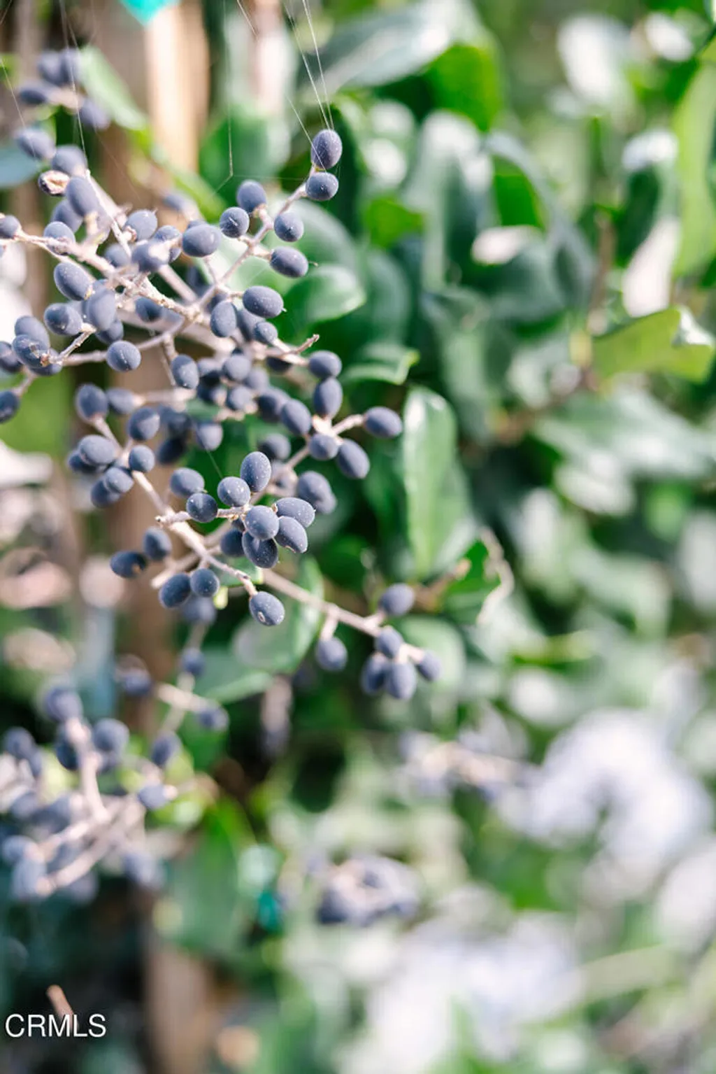 Additional image 44 of 2506 Weston Place, Glendale, CA 91208