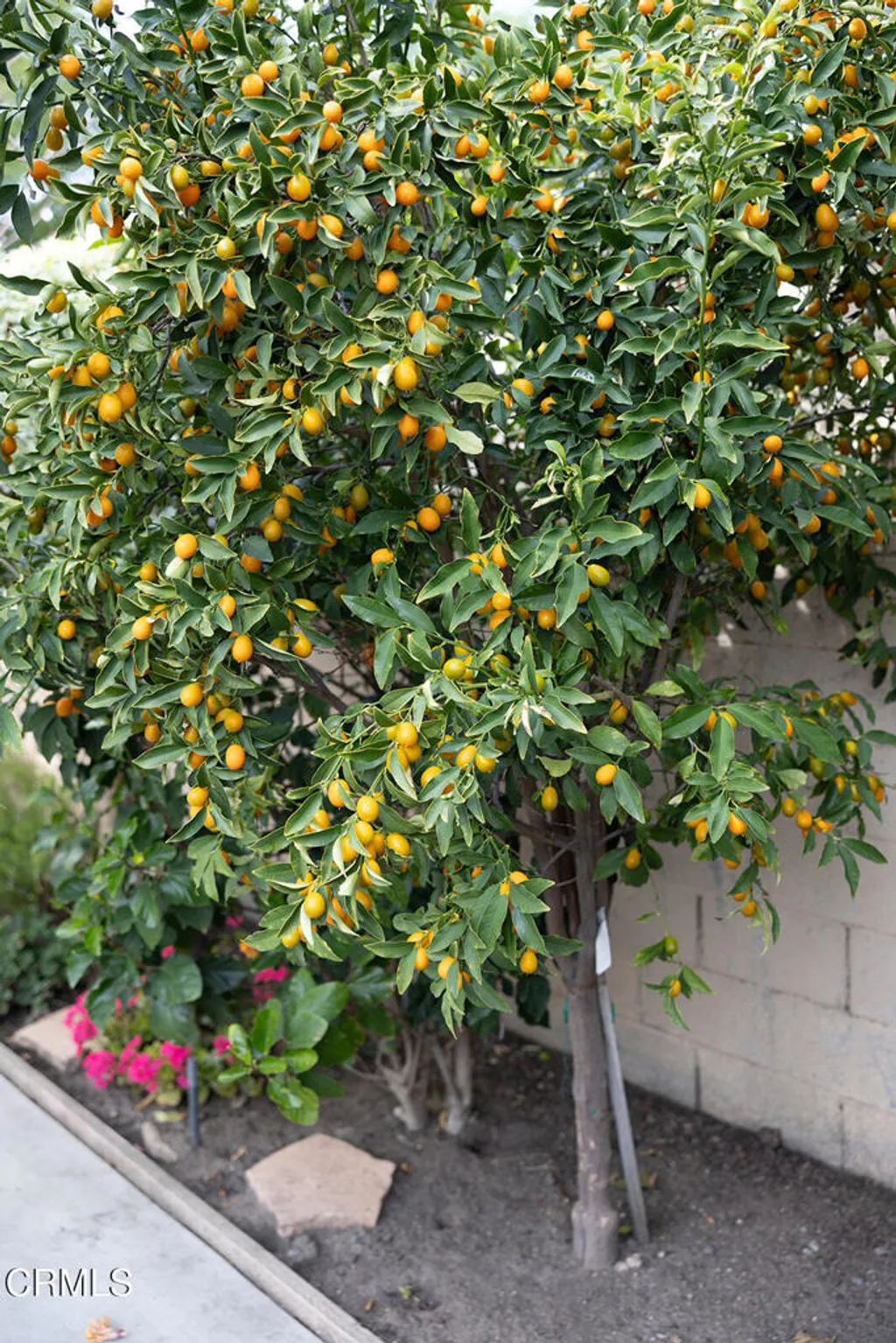 Additional image 47 of 2506 Weston Place, Glendale, CA 91208