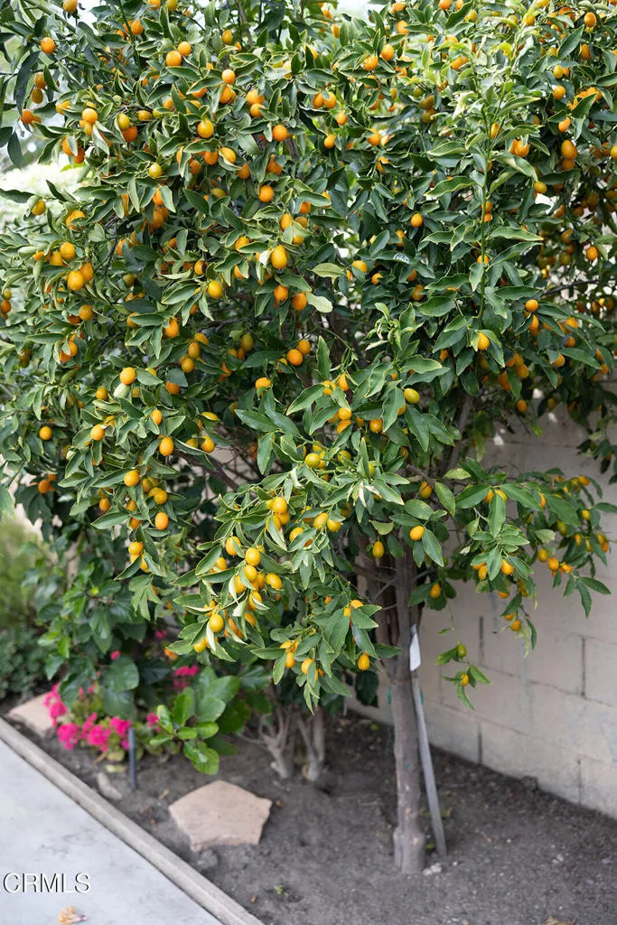 Additional image 118 of 2506 Weston Place, Glendale, CA 91208