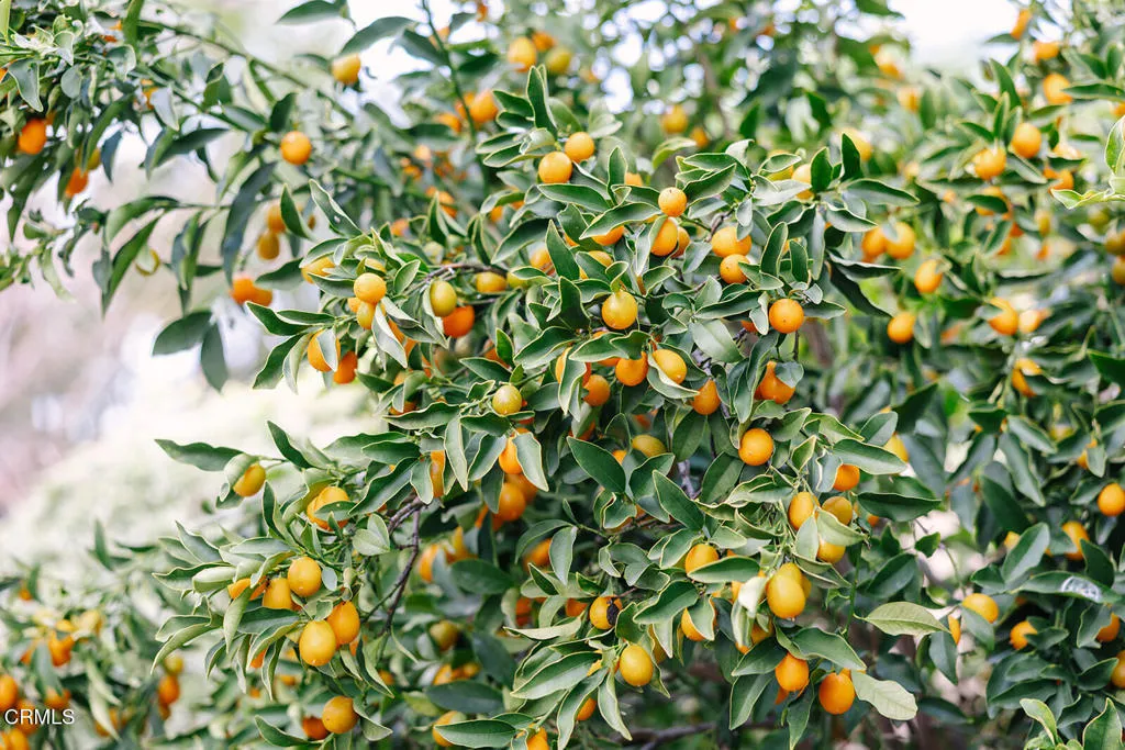 Additional image 34 of 2506 Weston Place, Glendale, CA 91208