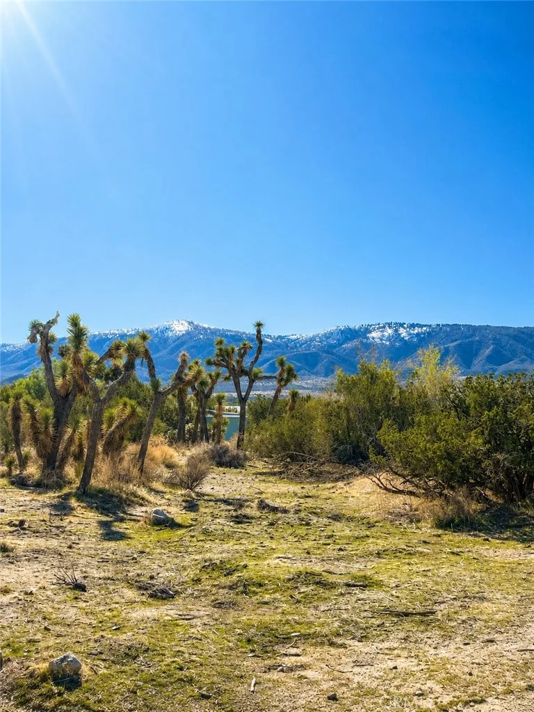 Additional image 8 of 155 Del Rosa Rd, Pinon Hills, CA 92372