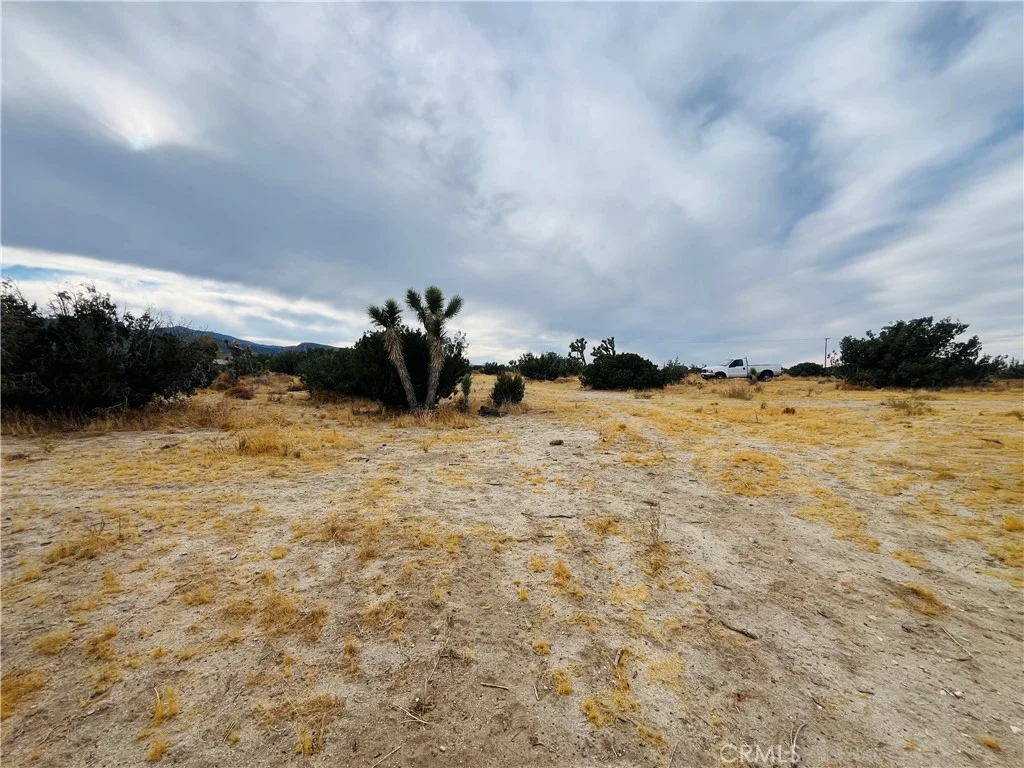 Additional image 10 of 155 Del Rosa Rd, Pinon Hills, CA 92372