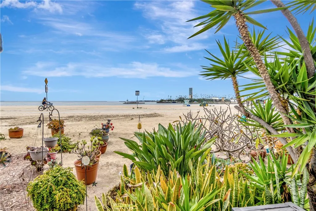 Additional image 77 of 1200 E Ocean Blvd Unit 12, Long Beach, CA 90802