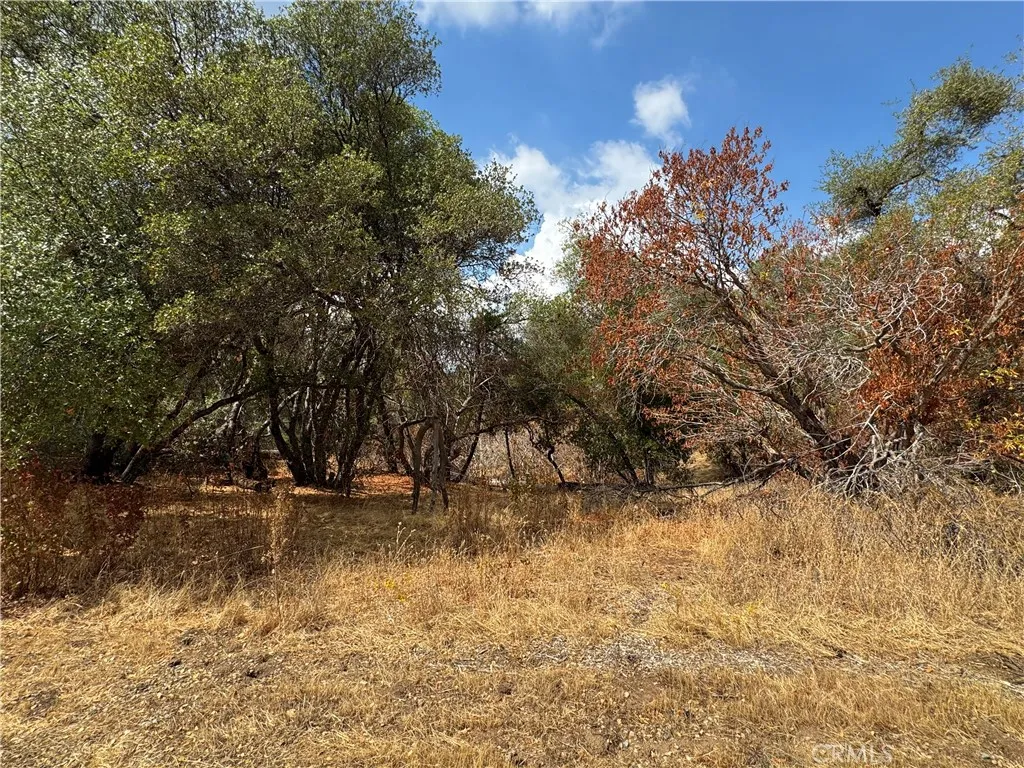 Additional image 31 of 2 AC Summerhill LN, Coarsegold, CA 93614