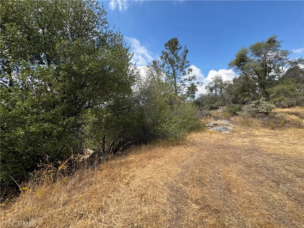 Additional image 29 of 2 AC Summerhill LN, Coarsegold, CA 93614