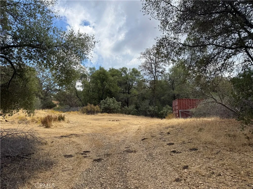 Additional image 28 of 2 AC Summerhill LN, Coarsegold, CA 93614