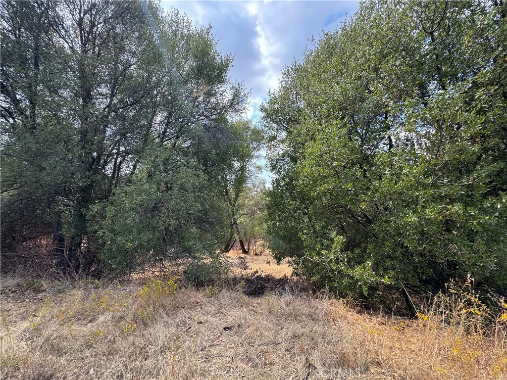 Additional image 30 of 2 AC Summerhill LN, Coarsegold, CA 93614