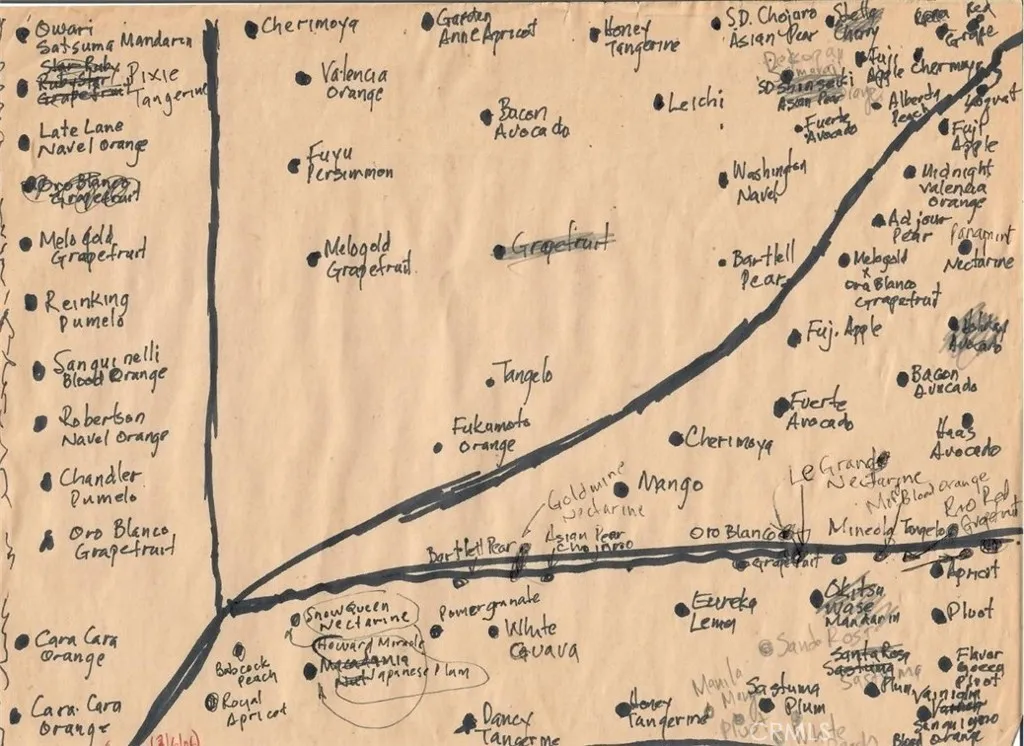 2821 Ilopango Dr, Hacienda Heights, CA 91745