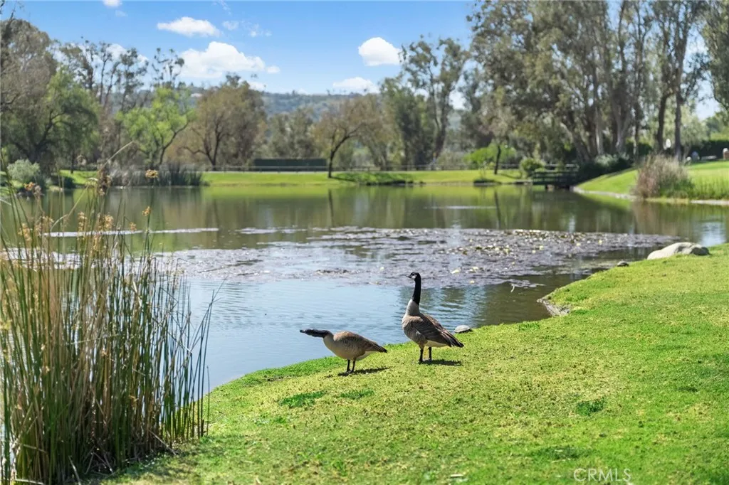 Additional image 108 of 7925 E Horseshoe Trail, Orange, CA 92869