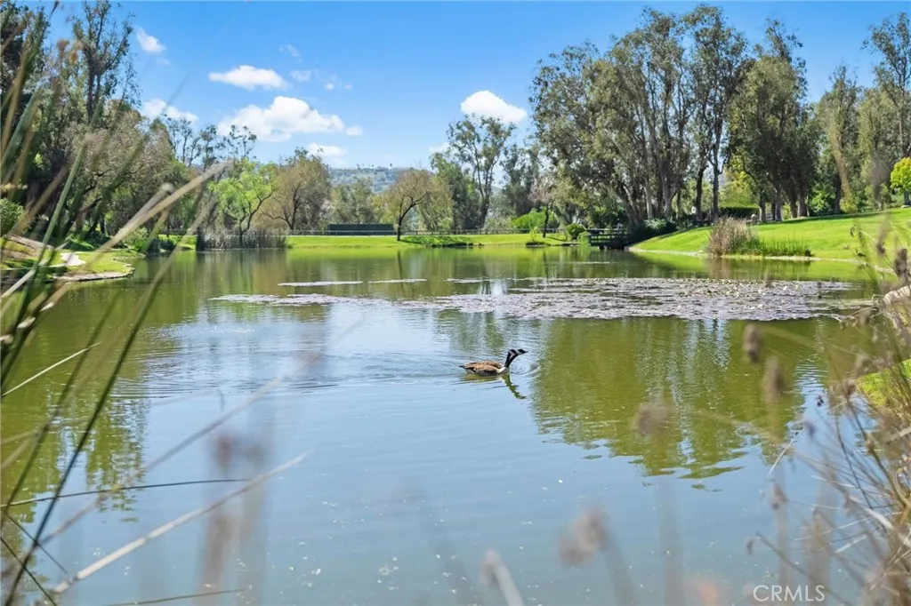 Additional image 18 of 7925 E Horseshoe Trail, Orange, CA 92869