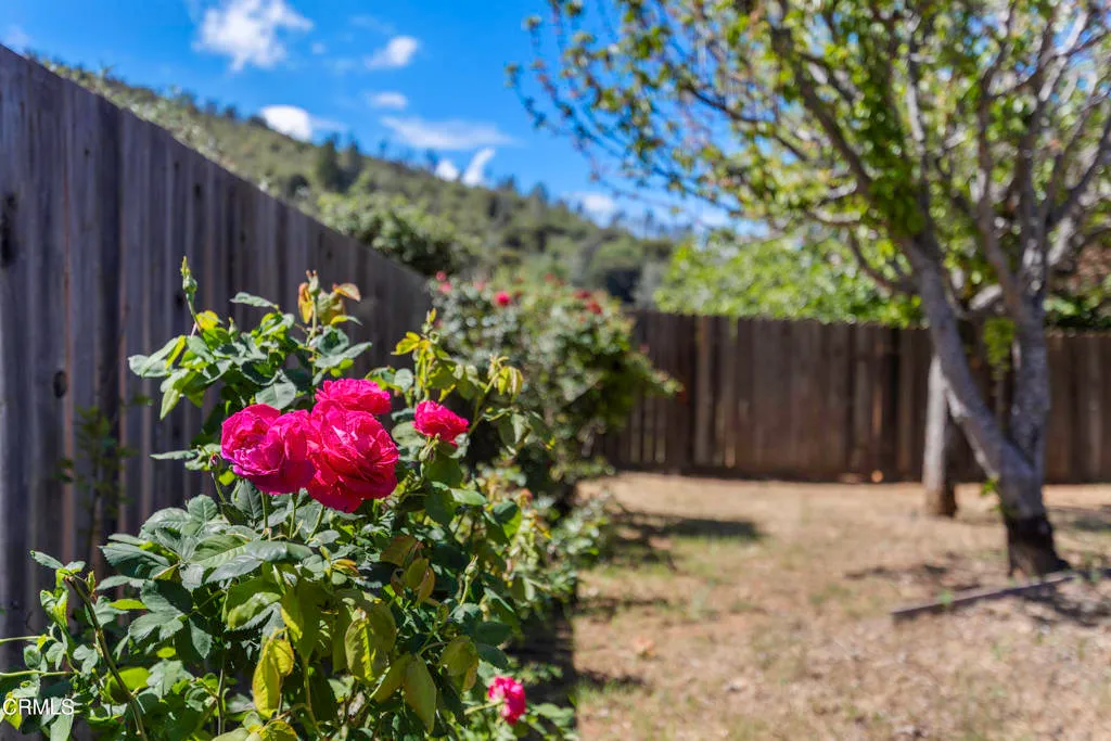 Additional image 132 of 7539 Evergreen Drive, Kelseyville, CA 95451