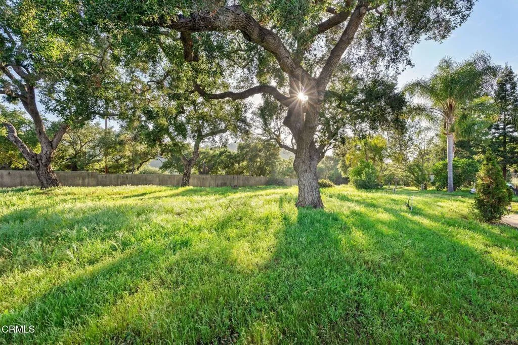 Additional image 77 of 11993 Macdonald Drive, Ojai, CA 93023