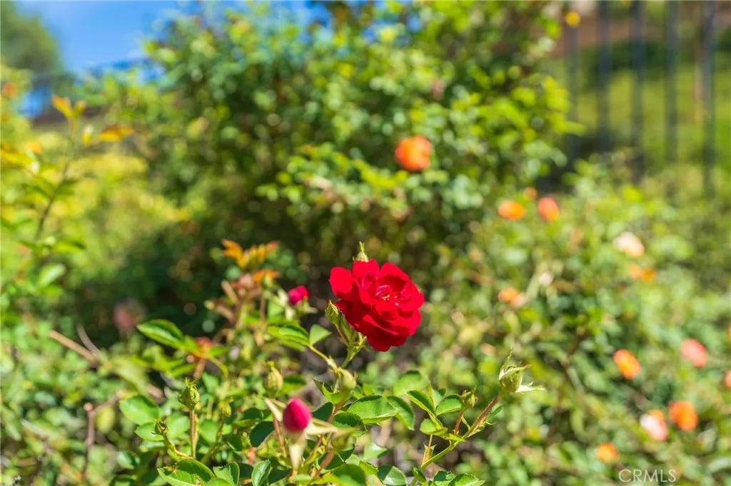 Additional image 70 of 34278 Torrey Pines Court, Lake Elsinore, CA 92532