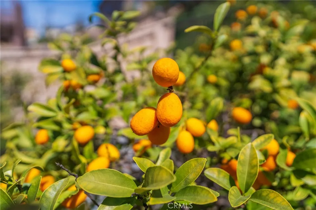 Additional image 32 of 34278 Torrey Pines Court, Lake Elsinore, CA 92532