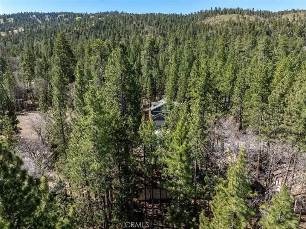Additional image 67 of 41490 Oak Street, Big Bear Lake, CA 92315