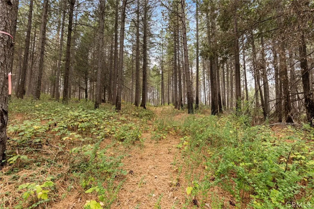 Property image for Old Forbestown Road, Forbestown, CA 95941