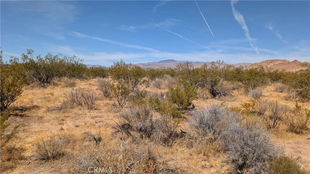 80th Street West, Rosamond, CA 93501