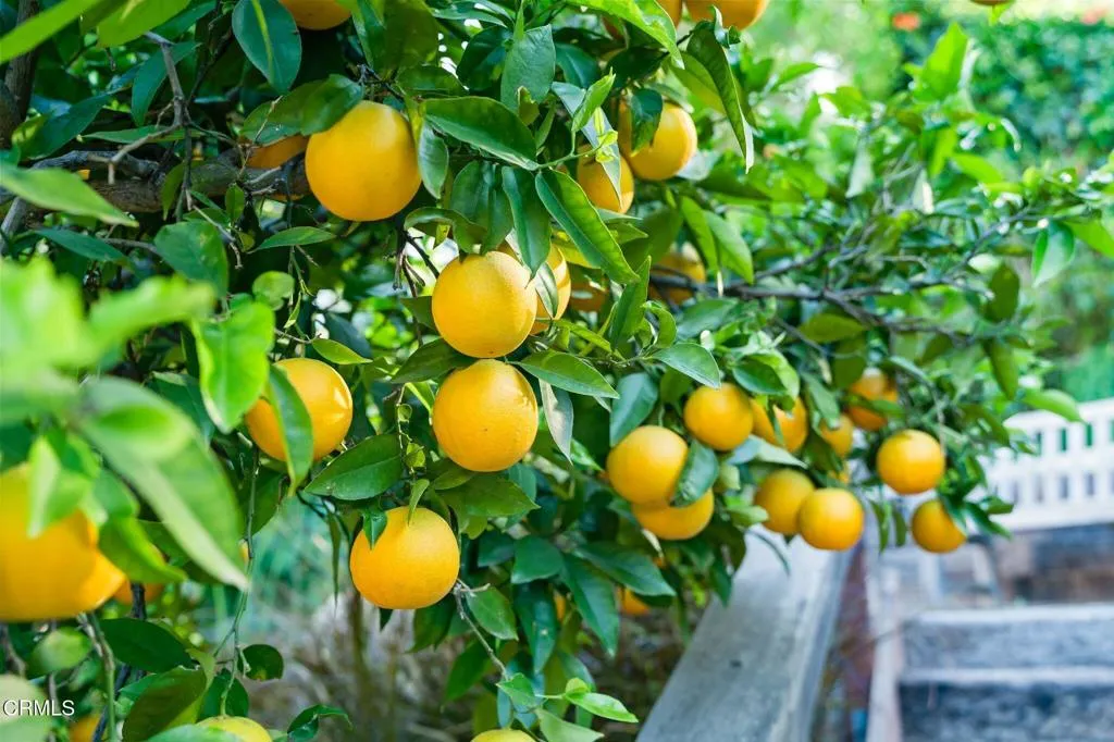 Additional image 71 of 1639 San Rafael Way, Camarillo, CA 93012