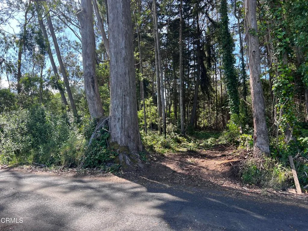 Additional image 22 of 32021 Boice Lane, Fort Bragg, CA 95437